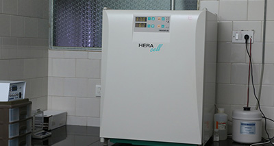 Heracell CO2 Incubator